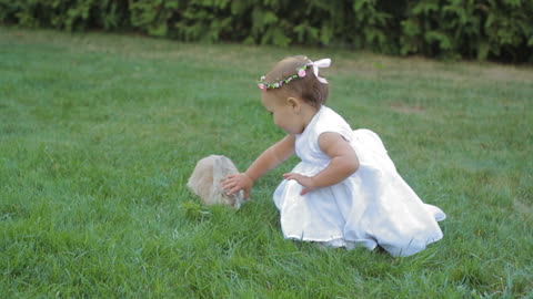 Beutiful Little Girl Playing With Rabbit