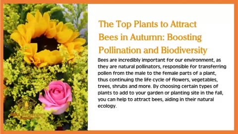 The Top Plants to Attract Bees in Autumn: Boosting Pollination and Biodiversity