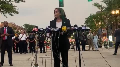 Kamala Launches into Bizarre, Incoherent Anti-Gun Rant in Highland Park