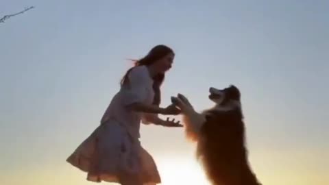 funny dog keyus very awesom video must watch #keyusstuntvideo#dogfunnyvideo#fun#animal