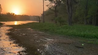 Duck Box Slough Sunrise