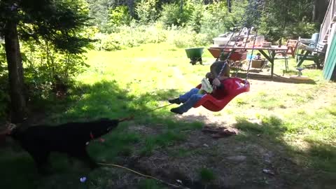 Dog playing with a KID Helping him to swing _