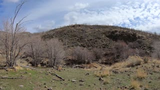 Paul Bunyan's Postpile Utah geological feature