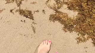 St kitts beach addiction