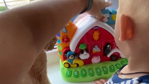Baby fun with cat cat video