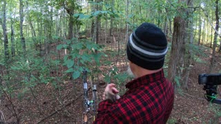No Camo Series (Deer Hunting In Early Bow Season!)
