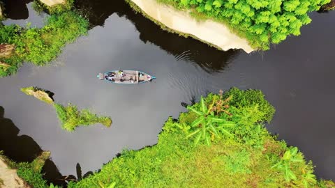 All About Nature from Above.