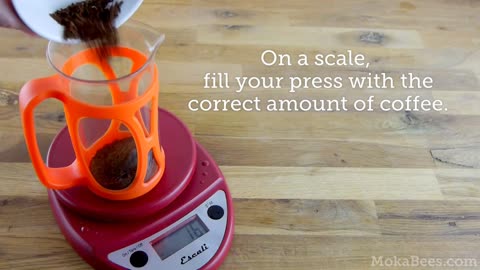 How to Make French Press Coffee - aka Press Pot