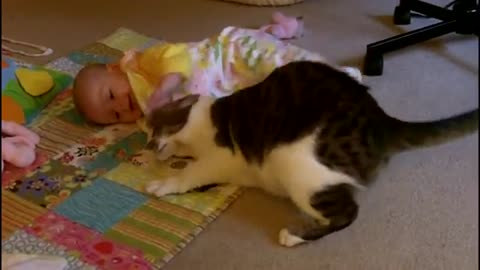 Mom Puts Her Baby On the Carpet. Cat’s Reaction? Totally Awesome!