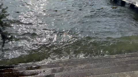 Splash! Lake Washington waves at tiny Chesterfield Beach Park
