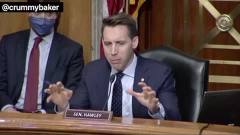 Senator Hawley talks voter fraud and democrat hypocrisy