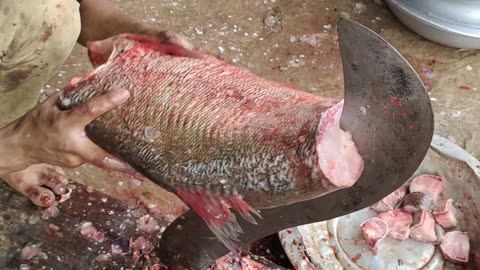 Giant Silver Carp Fish Fast Cutting Man In Bangladesh Fish Market