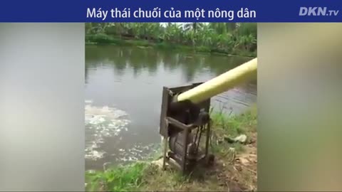 Máy thái chuối tiện lợi của nông dân chưa học hết lớp 3 ở Hà Tĩnh đang gây chú ý cộng đồng mạng