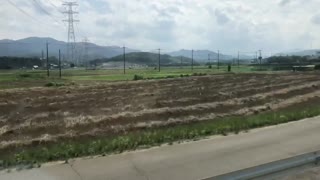 Viewing rice fields from a train in Japan