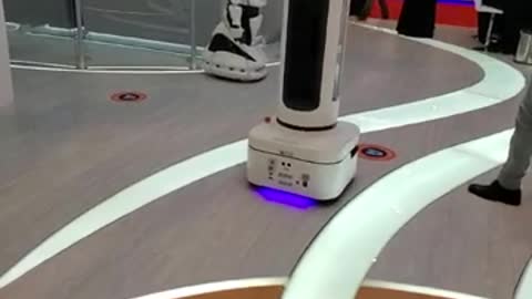 Autonomous Disinfection Robot