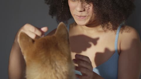 A Woman Early Playful Moments With Her Dog In Bed