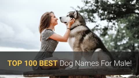 TOP 100 BEST Dog Names