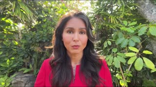 Tulsi Gabbard Calls for RINO Senator's Immediate Resignation