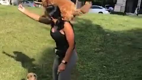 Puppy performs cool trick with total stranger