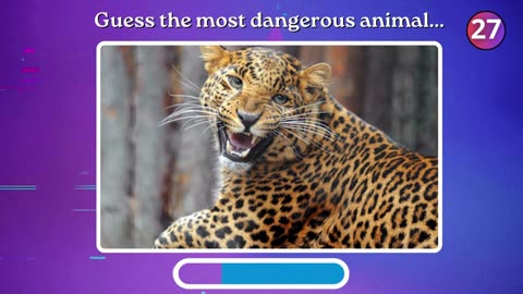 The 40 most DANGEROUS ANIMALS in the world - DANGEROUS ANIMALS QUIZ