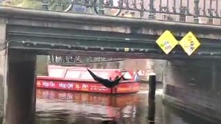 Protesters dive into Amsterdam canal during protest