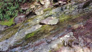 Quiet Waterfall on Hike