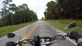 Bird vs Biker