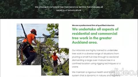 Tree pruning Auckland
