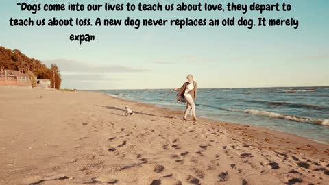 Best Dog Inspired Quotes - Pet Quotes.