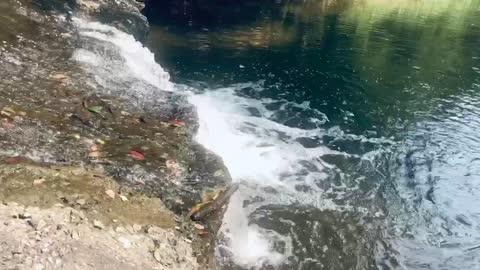 The sound of dropping water against the rocks.