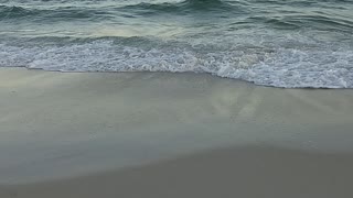 Landing a sting ray