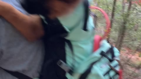 Puppy Takes a Backpack Break on Her First Hike