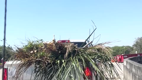 Freeloading Bird Hitches a Ride