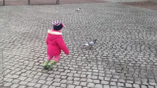 Niña intenta atrapar una paloma, falla terriblemente