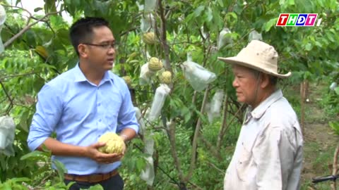 mảng cầu hoàng hậu