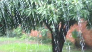 Paraguay Rain.