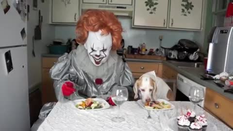 Pennywise & Dog Cook Dinner Together- Funny Dog Maymo