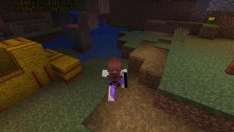 Minecraft 1.17.1_ Modded_Shorts_Outting_46