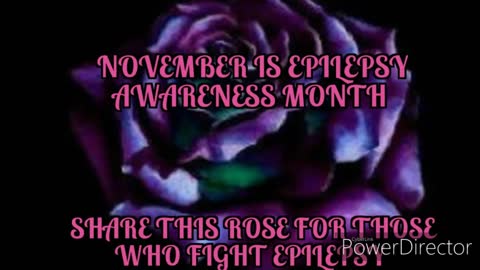 November is Epilepsy Month