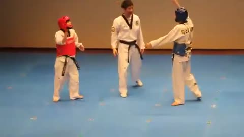 funniest fight of taekwondo