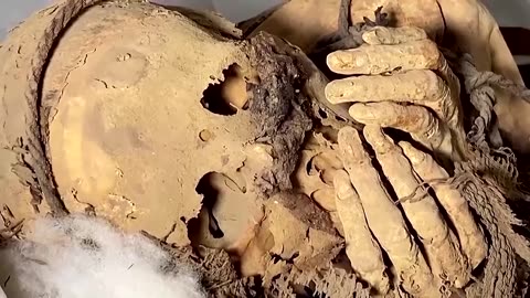 mummy estimated to be at least 800 years found in Peru 🇵🇪