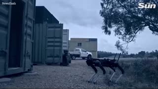 💥Australian Army Tests Mind-Controlled Combat AI 🤖Robodogs🦮