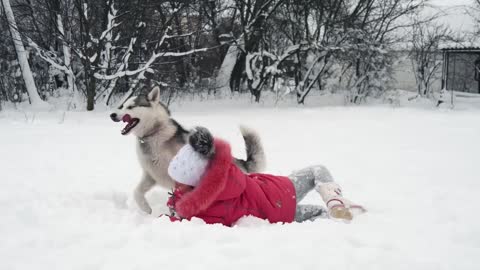 Puppy & kid playing on snow