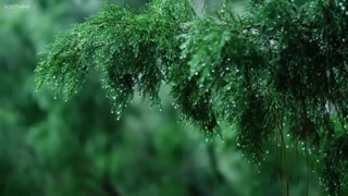 Rainy Day • Relaxing Piano Music with Soft Rain Sounds | Sleep, Study, Relax