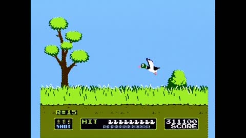 Duck Hunt - 2 Ducks (Actual NES Capture)