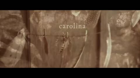 Taylor Swift - Carolina (From The Motion Picture “Where The Crawdads Sing” - Lyric Video)