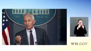 Fauci FLIP-FLOPS On Answer About Testing Requirements For Border Crossers