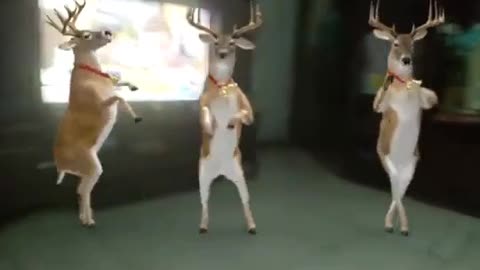 🦌🏠 Mesmerizing Deer Dance in the Cozy Home! 🕺🦌