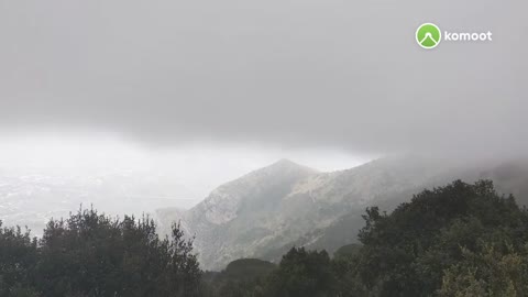 Giro in bici da montagna con amici