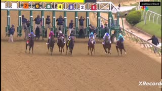 2023 Preakness Stakes - National Treasure